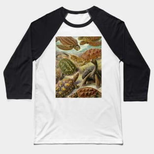 Chelonia - Ernst Haeckel Baseball T-Shirt